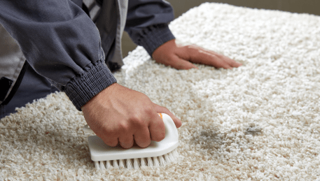 Professional Rug Cleaning Lara